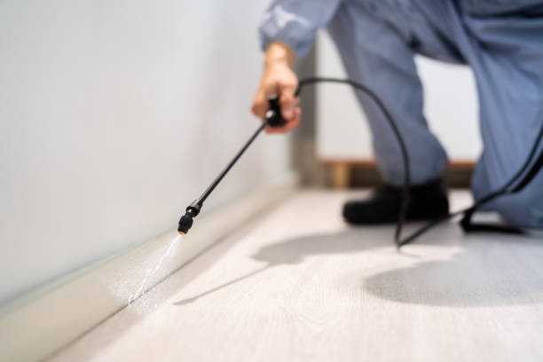 Licensed Rodent Control service in Esparto, CA - Nex Pest Control
