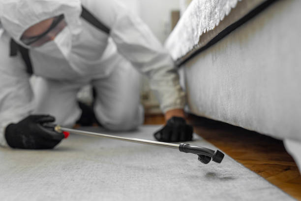 Professional Rodent Control technician working in Esparto, CA