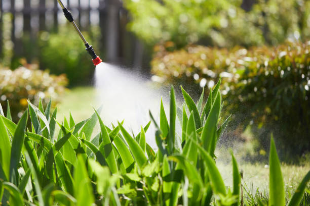 24/7 Emergency Rodent Control experts in Esparto, CA
