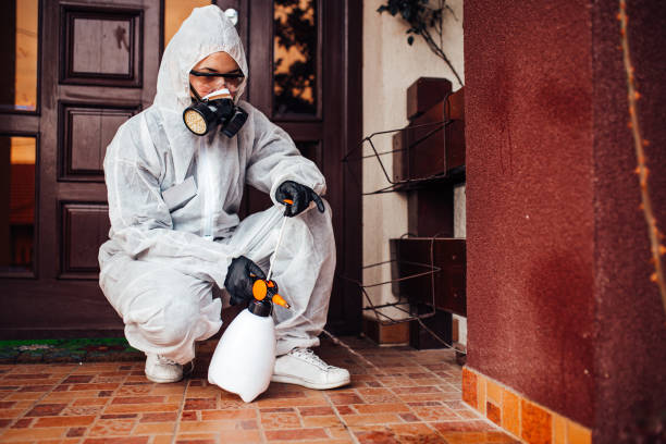 Reliable Rodent Control contractor in Esparto, CA by Nex Pest Control