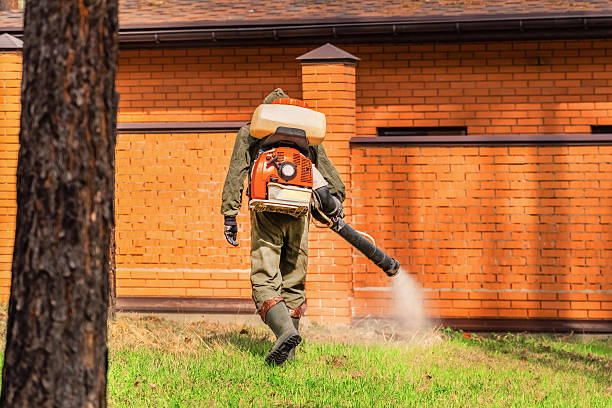Trusted Ant Control service in Esparto, CA - Nex Pest Control
